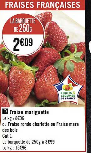 fraise gariguette