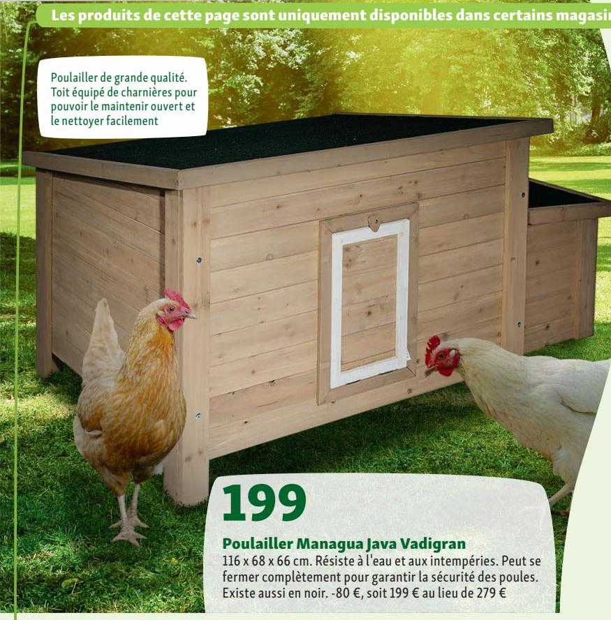 poulailler managua java vadigran