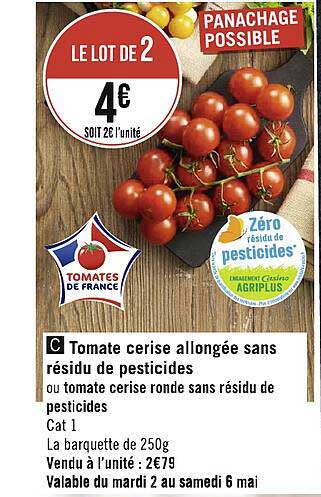 tomate cerise allongée sans résidu de pesticides