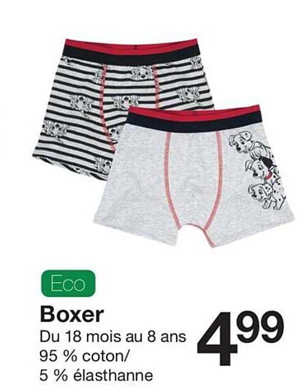 boxer du 18 mois au 8 ans