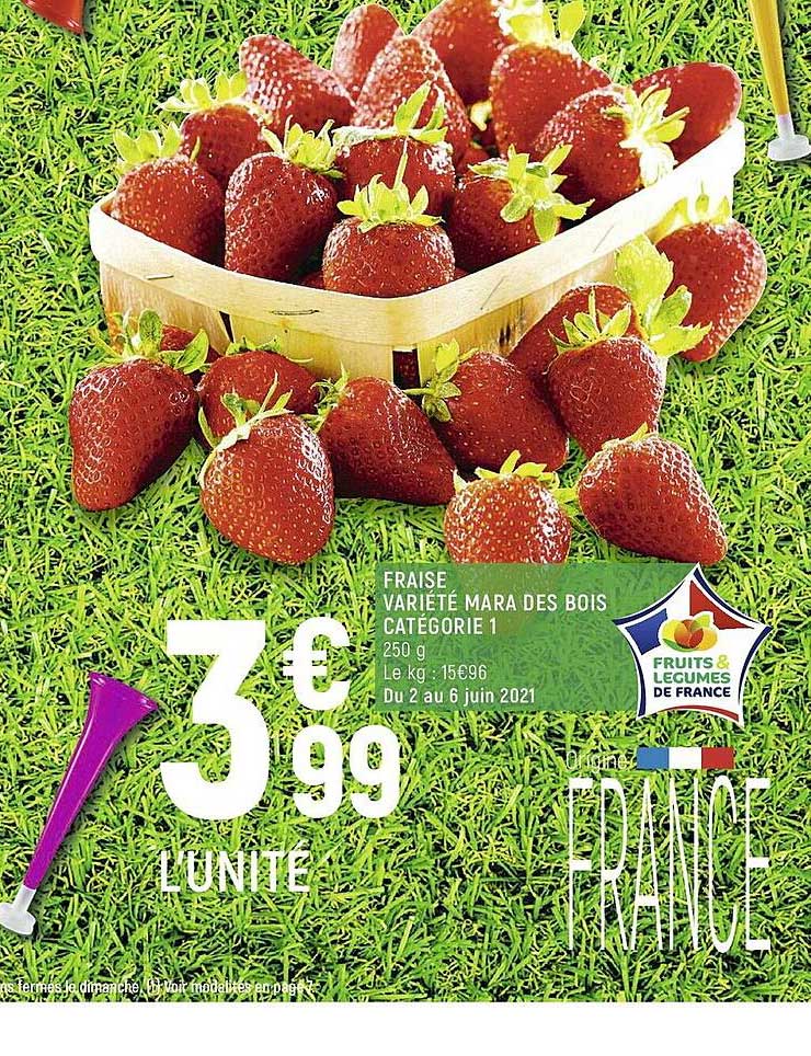 fraise mara des bois