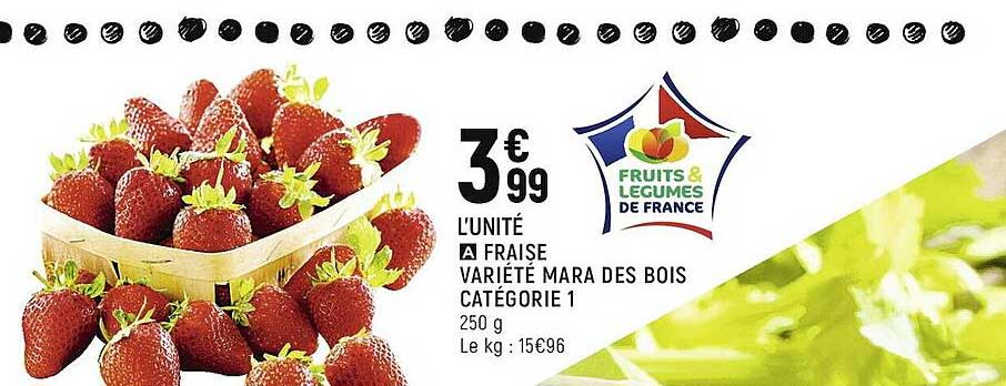 fraise mara des bois