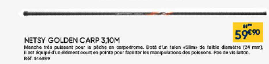 netsy golden carp 3.10m