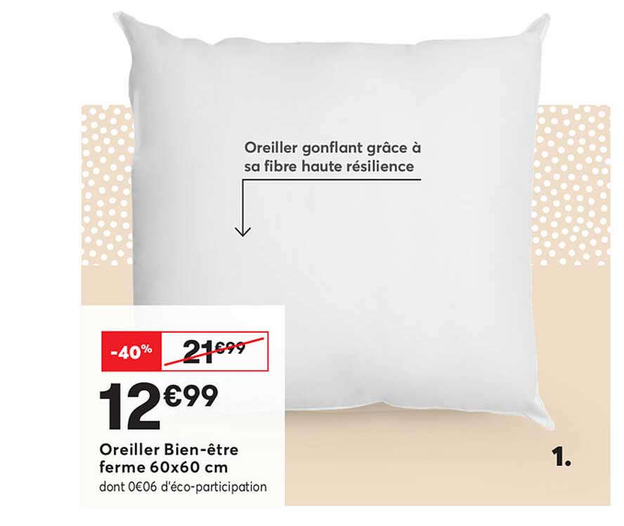 oreiller bien-etre ferme 60x60 cm