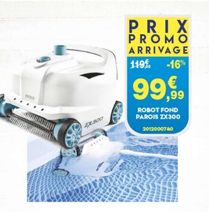 robot fond parois zx300