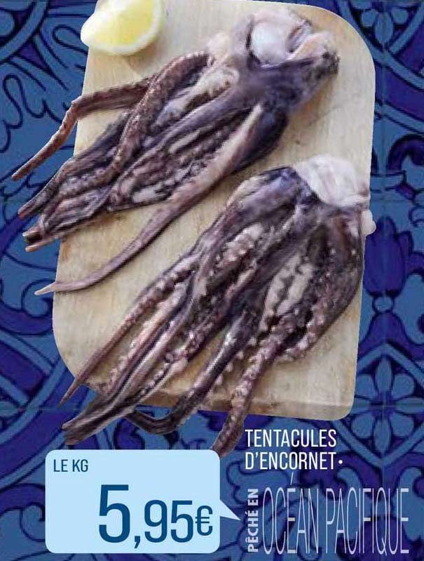 tentacules d'encornet