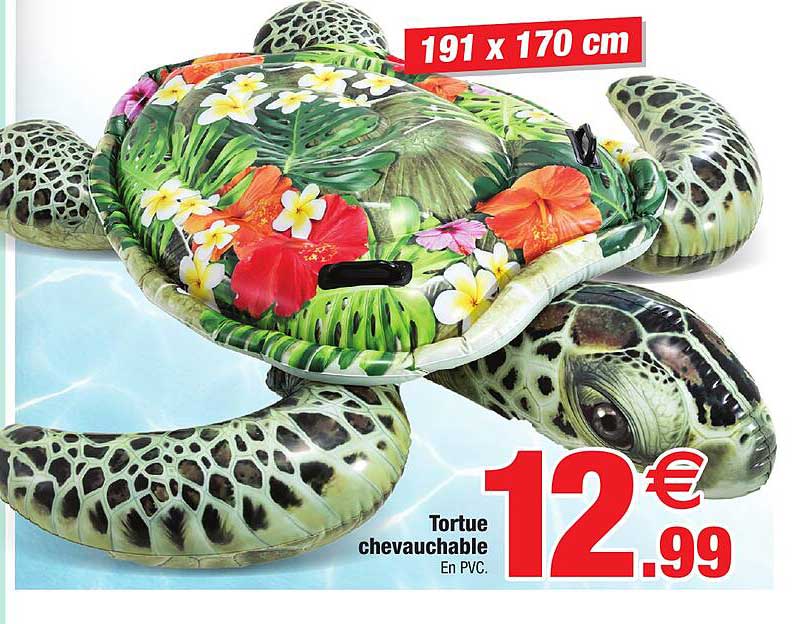 tortue chevauchable