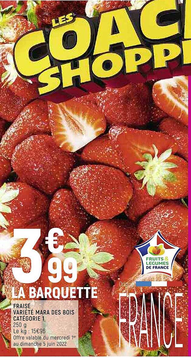 fraise mara des bois