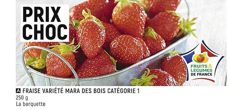 fraise mara des bois