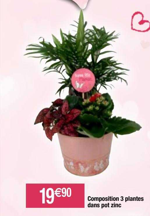 composition 3 plantes dans pot zinc