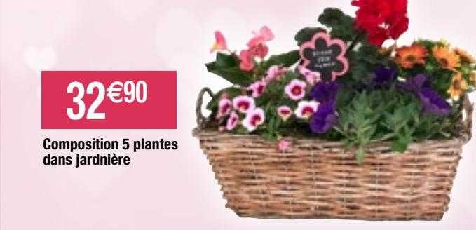 composition 5 plantes dans jardinière
