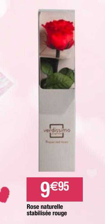 rose naturelle stabilisée rouge