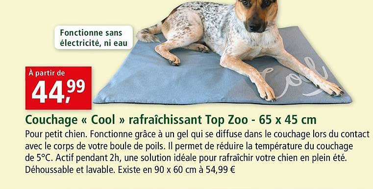 Couchage Cool Rafraîchissant Top Zoo 65 X 45 Cm