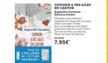 cupidon a des ailes en carton raphaëlle giordano