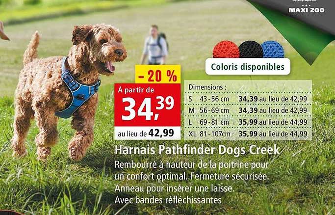 harnais pathfinder dogs creek