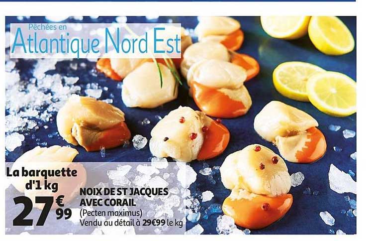 noix st jacques avec corail