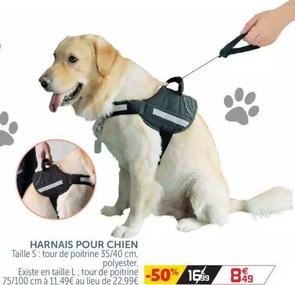 Harnais Pour Chien