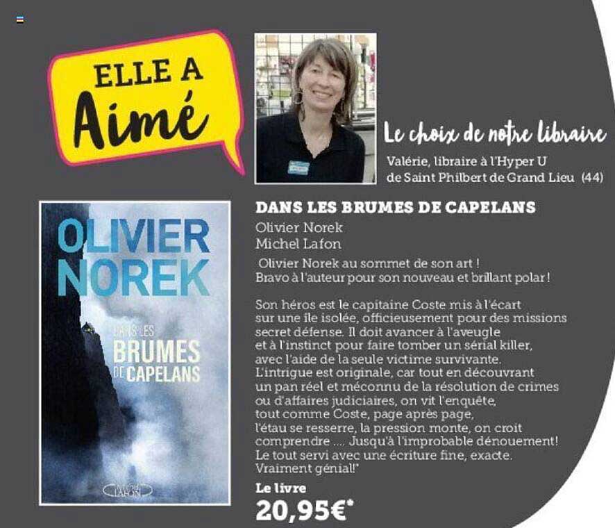 dans les brumes de capelans olivier norek michel lafon