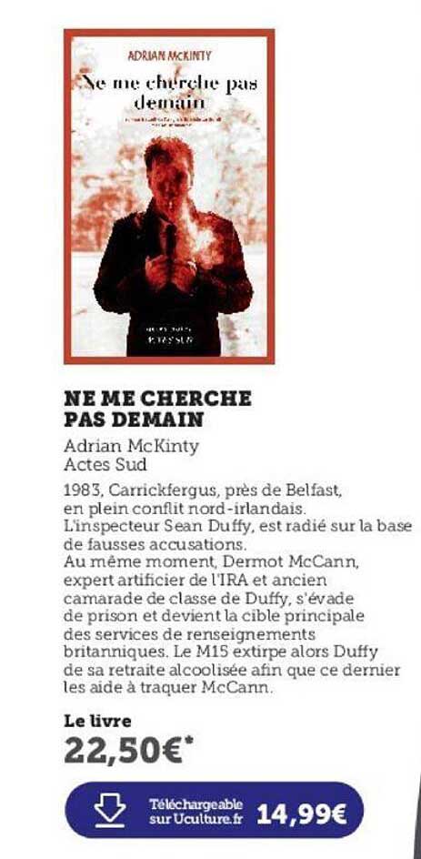 ne me cherche pas demain adrian mckinty actes sud