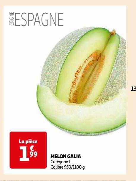 Melon Galia