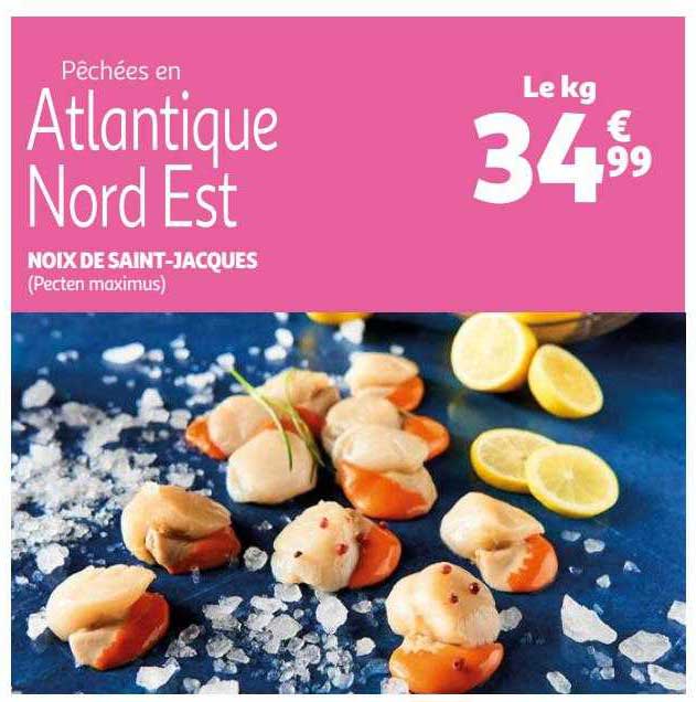 noix de saint-jacques