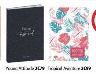 Young Attitude, Tropical Aventure