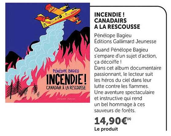 INCENDIE! CANADAIRS A LA RESCOUSSE