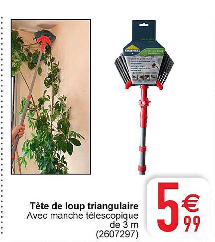 tête de loup triangulaire