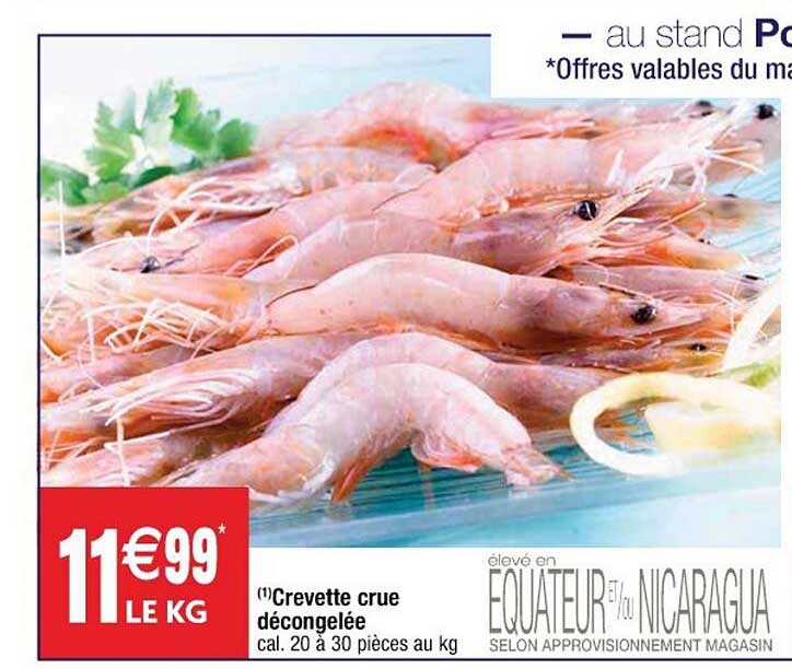 Crevette Crue Décongelée
