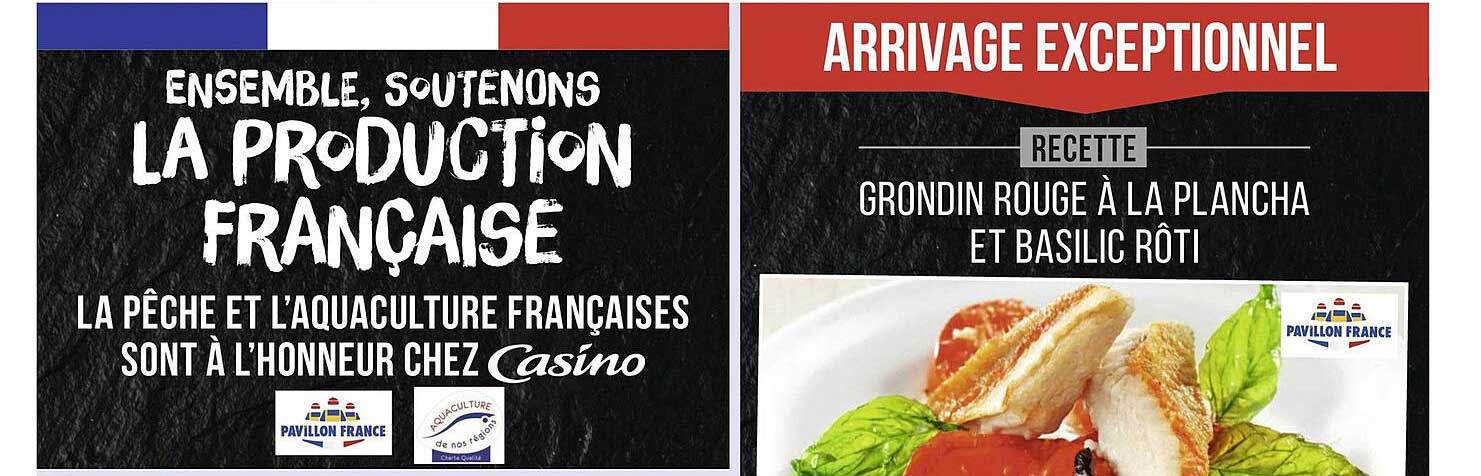 Grondin Rouge à La Plancha Et Basilic Rôti