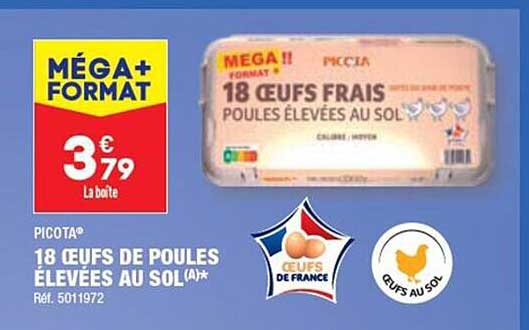 18 œufs de poules élevées au sol