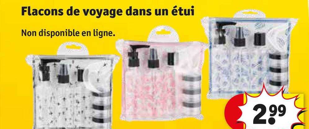 flacons de voyage dans un étui