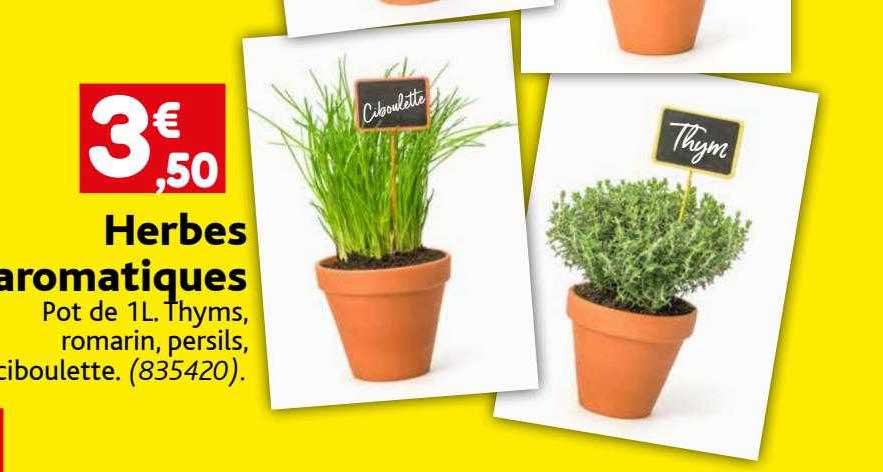 Herbes Aromatiques