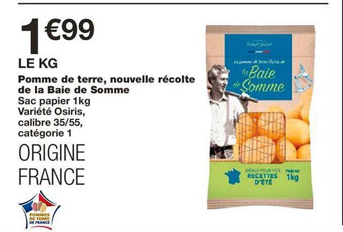 pomme de terre, nouvelle récolte de la baie de somme