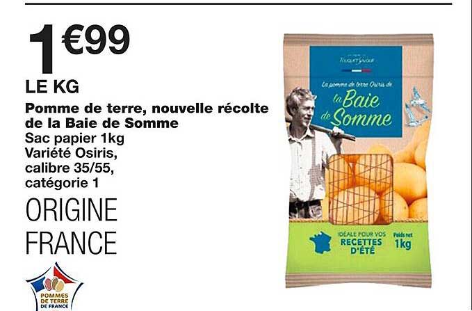 pomme de terre, nouvelle récolte de la baie de somme