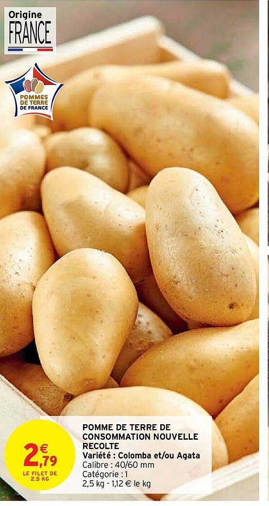 pomme de terre de consommation nouvelle récolte