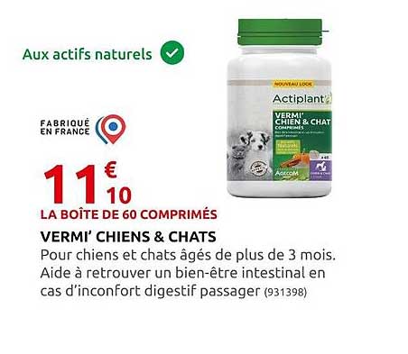 Vermi' Chiens & Chats
