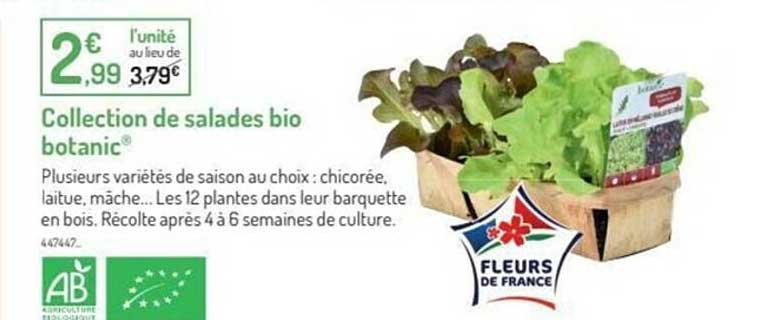 Collection De Salades Bio Botanic