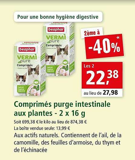 comprimés purge intestinale aux plantes