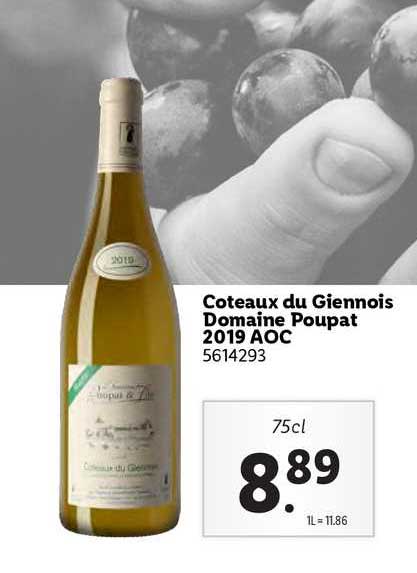 coteaux du giennois domaine paupat 2019 aoc