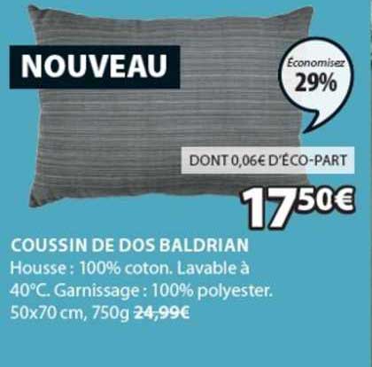 Coussin De Dos Baldrian
