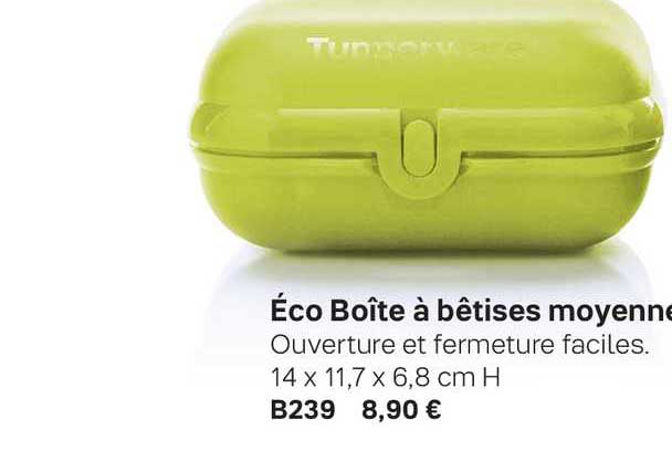 éco boîte à bêtises moyenne