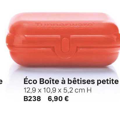 éco boîte à bêtises petite