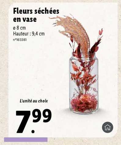 Fleurs Séchées En Vase