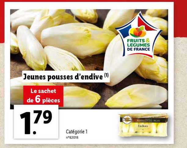 jeunes pousses d'endive