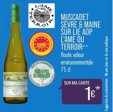 muscadet sèvre & maine sur lie aop l'âme du terroir