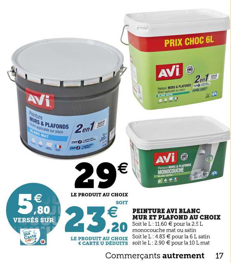 peinture avi blanc mur et plafonds au choix