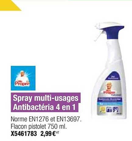spray multi-usages antibactéria 4 en 1 mr propre
