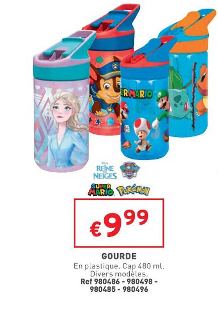 gourde la reine des neiges, paw patrol, super mario, pokémon