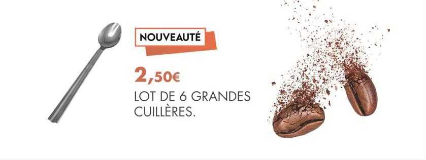 lot de 6 grandes cuillères